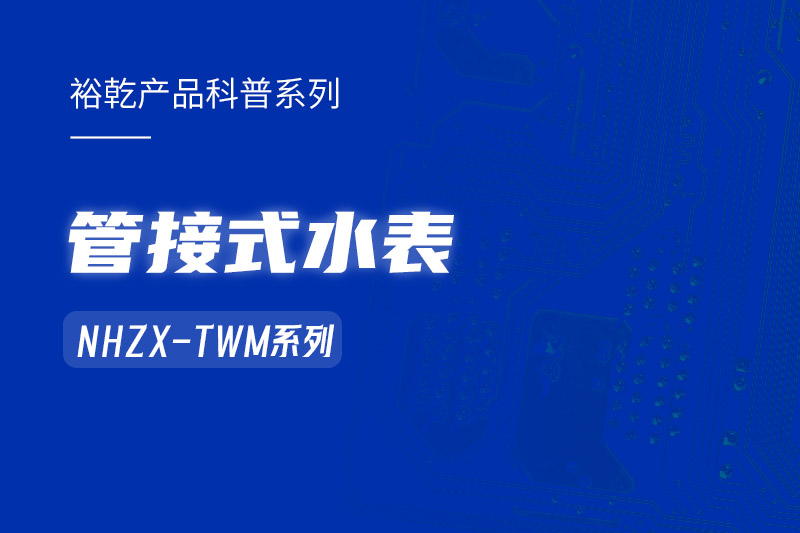 管接式水表NHZX-TWM系列：解析其在能耗監(jiān)測系統(tǒng)中的關(guān)鍵作用！